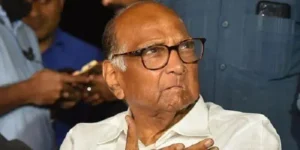 Sharad Pawar issues warning during bullock cart race in Khed, Pune.